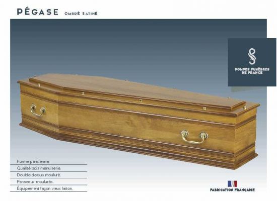 PÉGASE ombré satiné